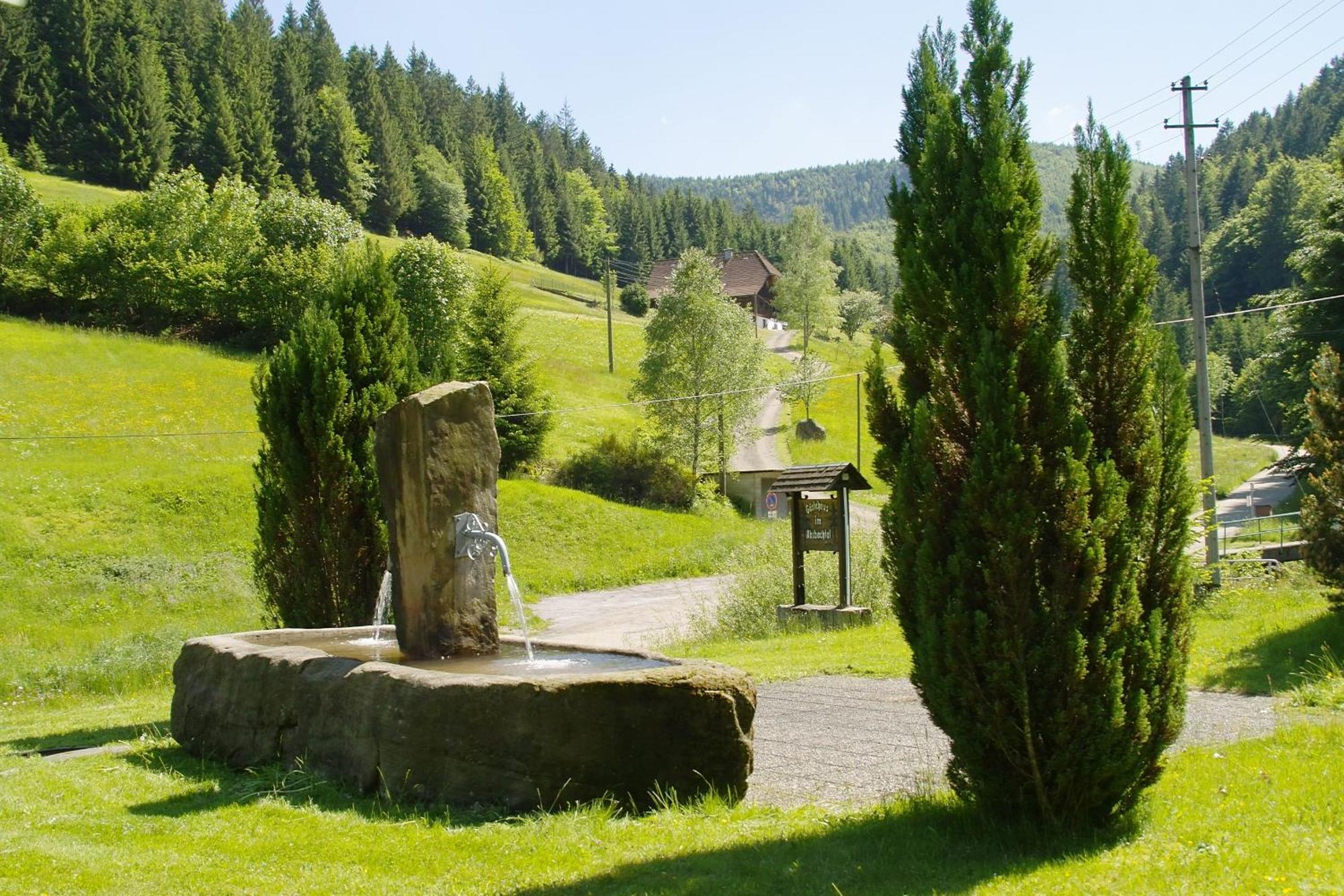 Gaestehaus Absbachtal Bad Rippoldsau-Schapbach Экстерьер фото